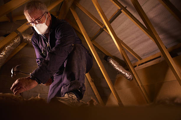 Best Types of Insulation in Walsenburg, CO