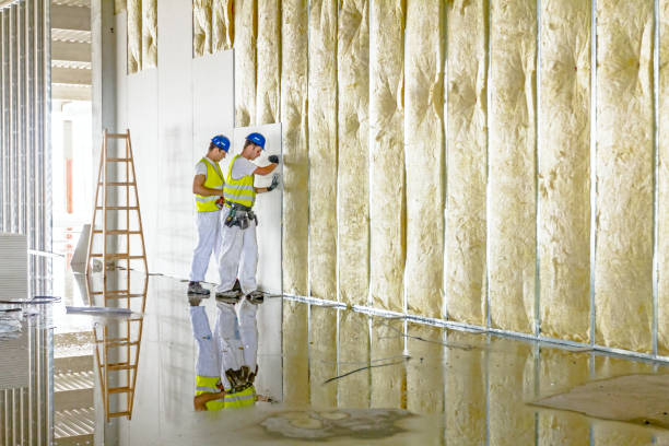 Best Residential Insulation in Walsenburg, CO